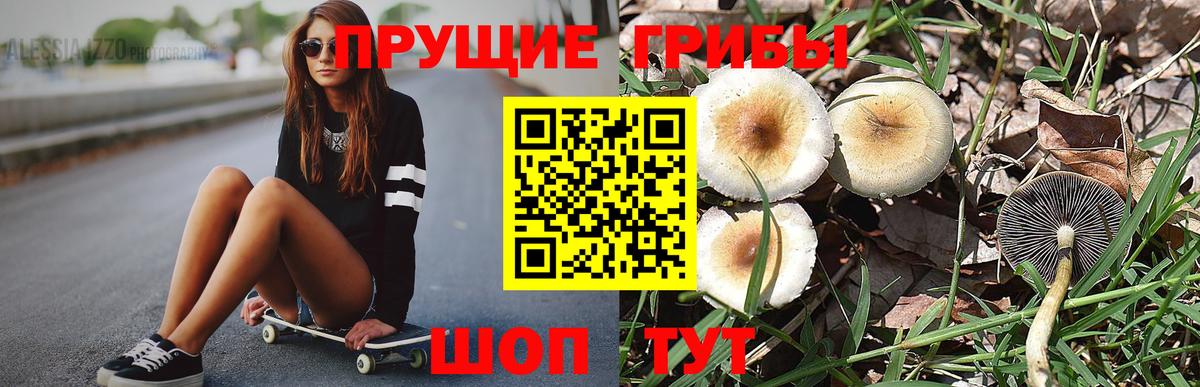 Псилоцибиновые грибы GOLDEN TEACHER  Вход с VPN  Псилоцибиновые грибы мухоморы  Кемерово 